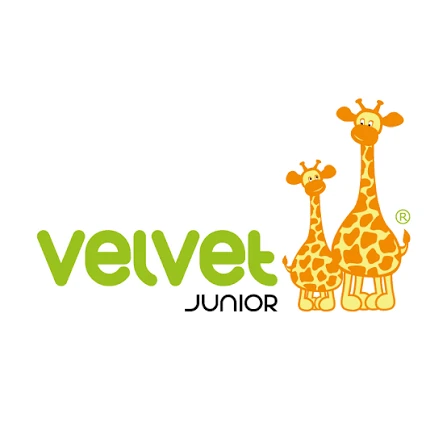 Logo klien KirimCargo.id Velvet Junior